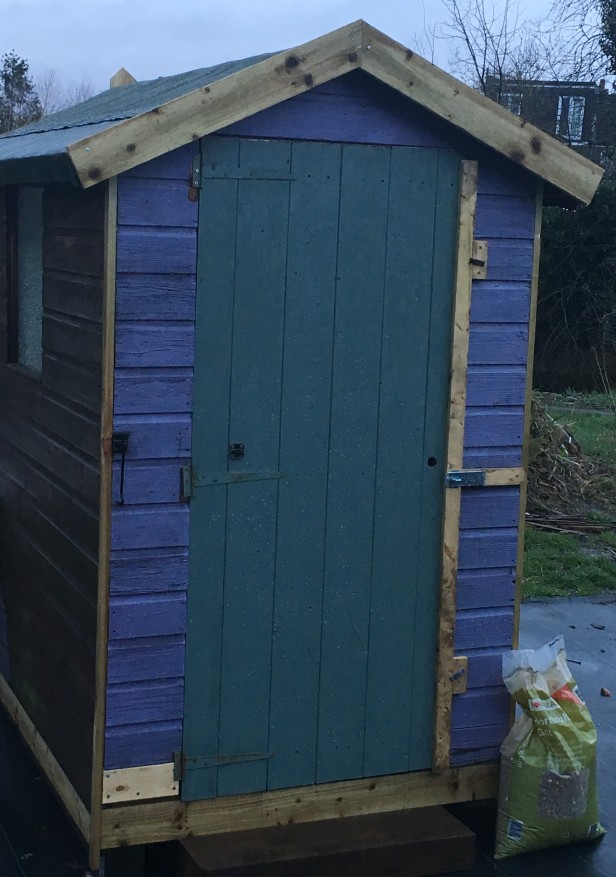 shed-repairs-3